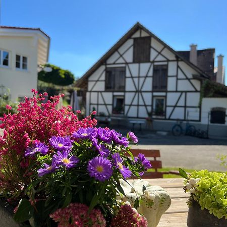 Cafe Canape, Wohlfuehlen Im Schoenen Hof Zwischen Ravensburg & Bodensee Exterior photo